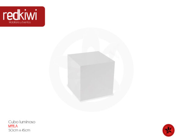 Cubo Luminoso 1 De 50 X 45