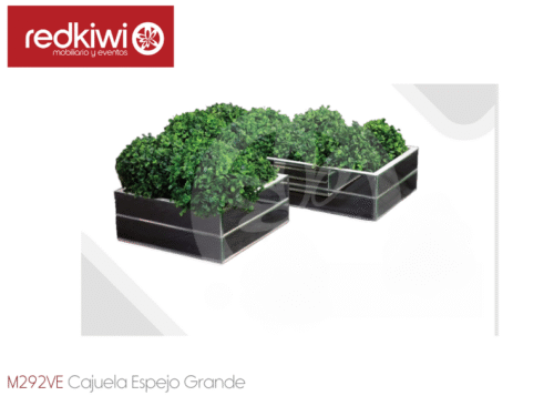 Cajuela Espejo Grande