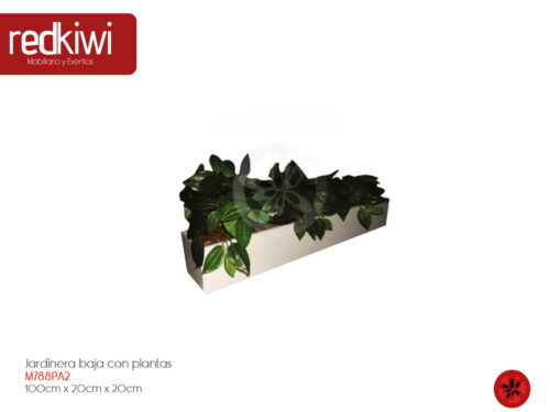 Jardinera baja con plantas    100 x 20 x 20 cm