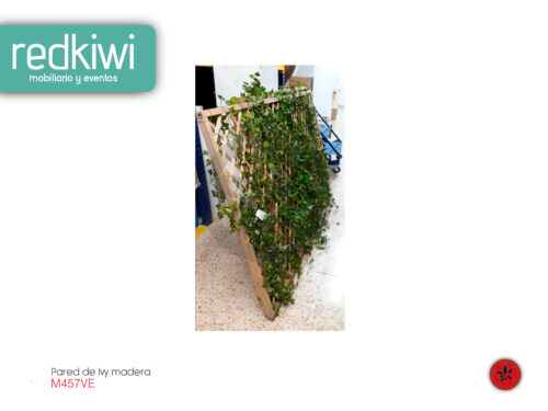 Pared De Ivy Madera