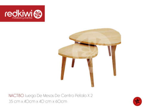Juego De Mesas De Centro Pétalo X 2