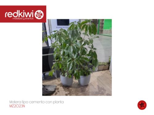 Matera tipo Cemento con Planta