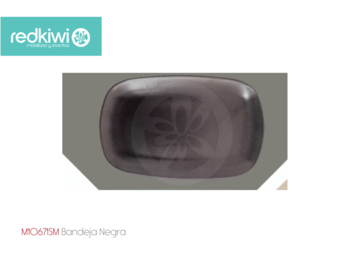 Bandeja Negra