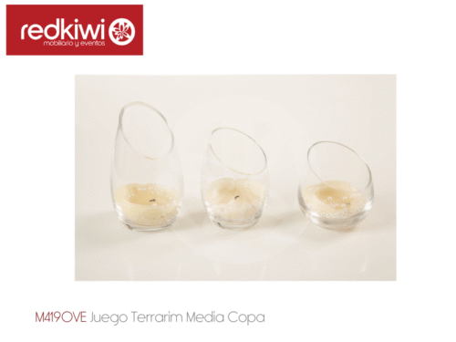 Juego Terrarim Media Copa